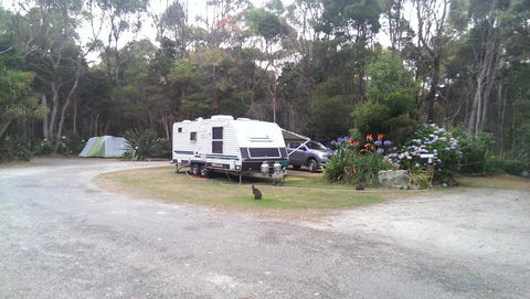 Crayfish Creek Van & Cabin Park - DBD 0