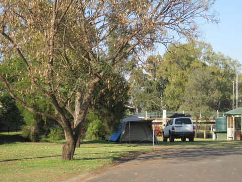Dalby Tourist Park - DBD 3