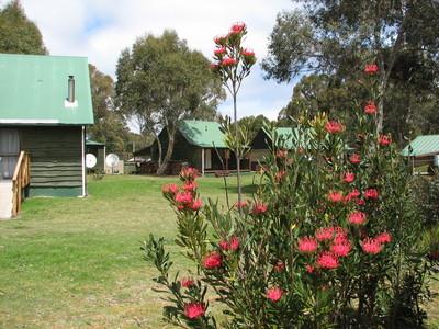 Derwent Bridge Chalets & Studios - Click Find 1