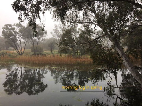 Donald Riverside Motel - Bet 4u 1