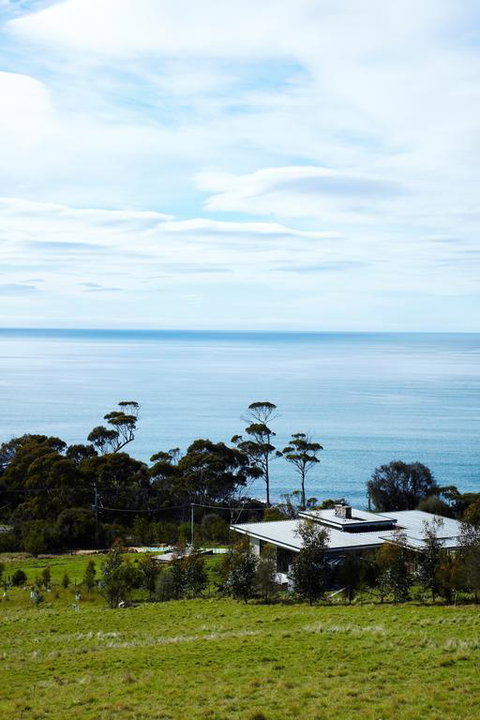 Dragonfly Lodge - Bridge Guide 3