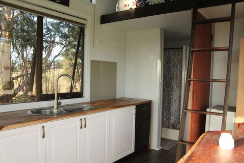 Dyl & Lil's Tiny House On Wheels - DBD 2