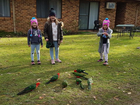 Eildon Parkview Motor Inn - Click Find 1