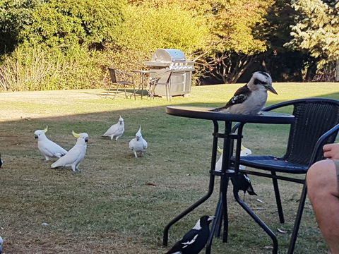 Eildon Parkview Motor Inn - Click Find 0