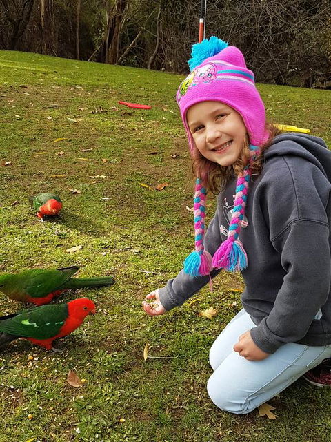 Eildon Parkview Motor Inn - Click Find 3