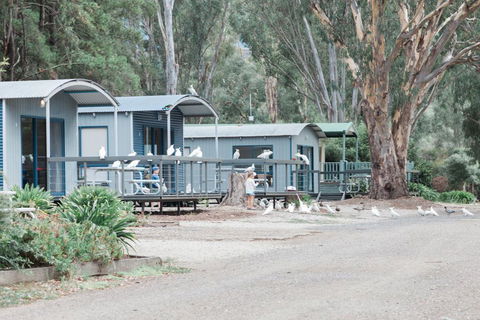 Eildon Pondage Holiday Park - Click Find 3