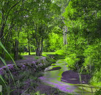Esk Caravan Park  Rail Trail Motel - Click Find