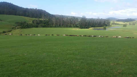 Farm Golf - Click Find 2