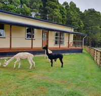 Farm Stay Lowana Strahan - Click Find