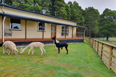 Farm Stay Lowana, Strahan - Click Find 0