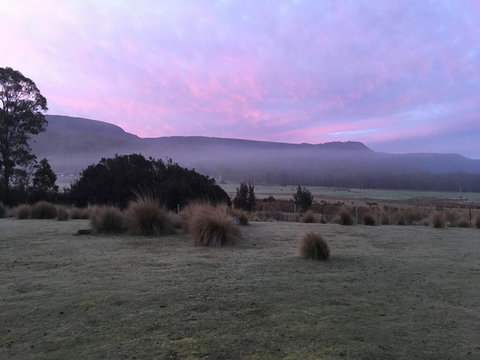 Forest Walks Lodge - Bet 4u 1
