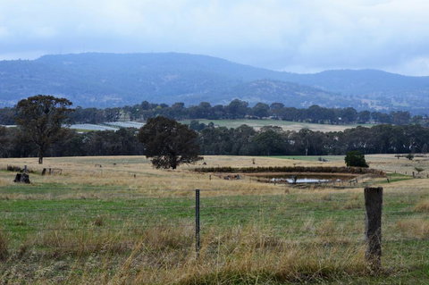 Friends In Harcourt North - Bridge Guide 2