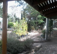 Friends in Harcourt North - Bet 4u