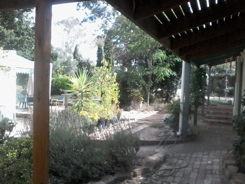 Friends In Harcourt North - Bridge Guide 0