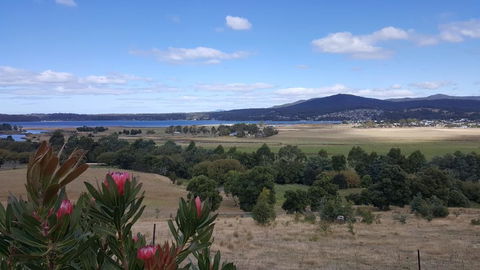 George River Park (House, 100 Acres, Animals, Views) - Bet 4u 2