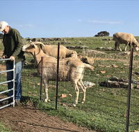 Gilgraves Vineyard Farmstay - Bet 4u