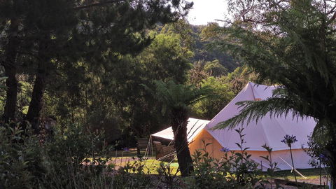 Glamping At Zeehan Bush Camp - Bet 4u 0