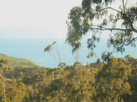 Glenaire Cottages - Click Find 2