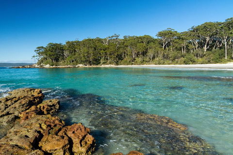 Gorgeous Beachside Cottage Jervis Bay - Bet 4u 0