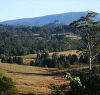 Grey Gum Lodge - Click Find