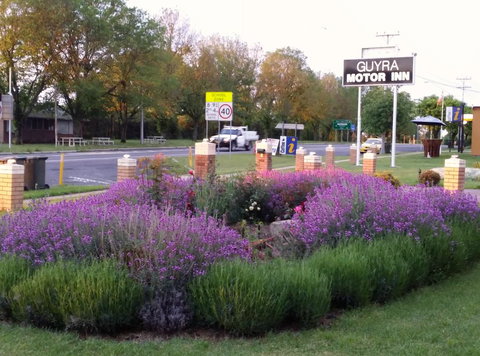 Guyra Motor Inn - Bet 4u 1