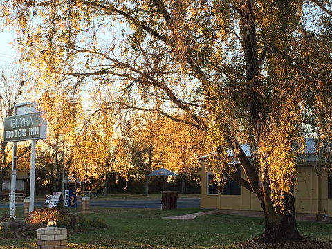 Guyra Motor Inn - Bet 4u 2