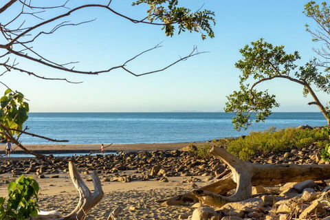 Halliday Bay Resort - Click Find 1