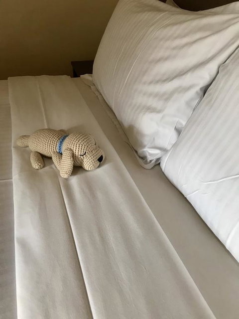 Happy Dogs Cottage Margaret River - Click Find 3