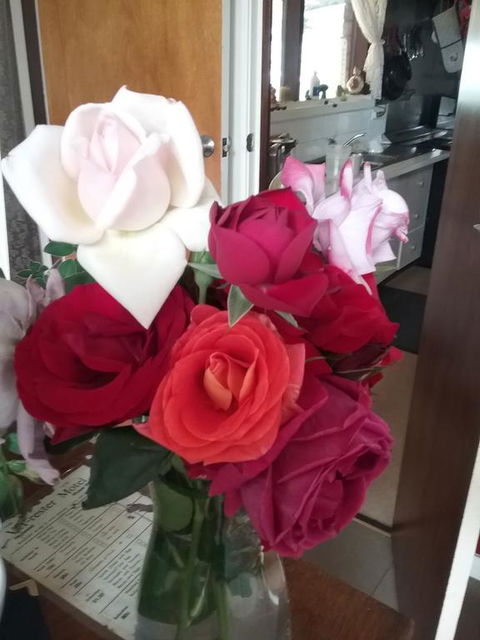 Heywood Motor Inn - Click Find 2