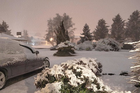 Highlands Motor Inn - Bet 4u 3