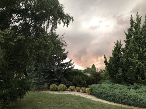 Highlands Motor Inn - Bet 4u 1