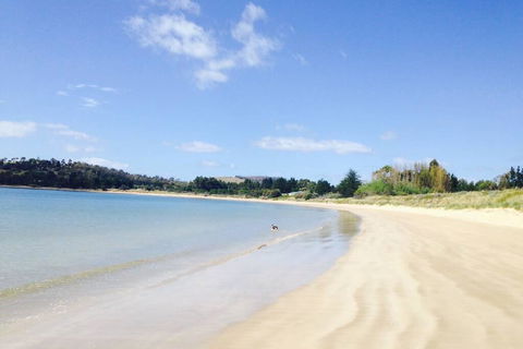 Hobart Beach Front Cottage - Bet 4u 0