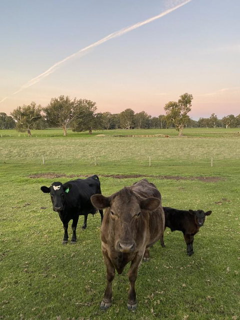 Holly House BnB - Bet 4u 1