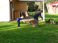 Kalgan River Chalets and Caravan Park