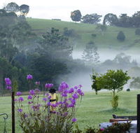 La Dolce Vita - Click Find