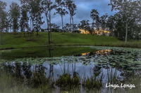 Business in Curra QLD Click Find Click Find