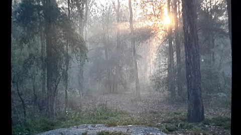 Lucky Mountain Cottage - Click Find 1