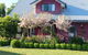 Magenta Cottage - thumb 0