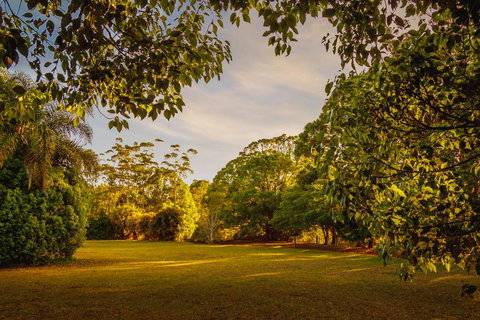 Malanda Lodge - Click Find 1