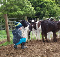 Manderley Park Farmstay BB - Click Find