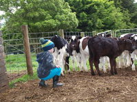 Manderley Park Farmstay BB