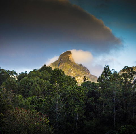 Mavis's Cabins @ Mt Warning - Click Find 1