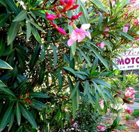 Mercury motor inn - Lawyer Find