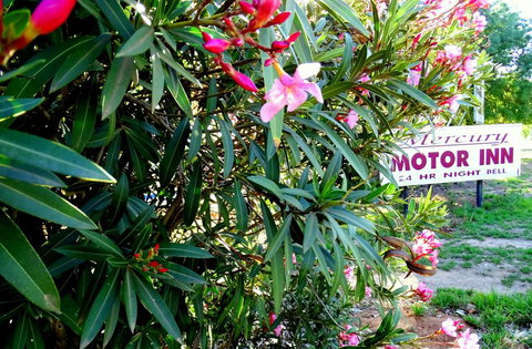 Mercury Motor Inn - Bridge Guide 0