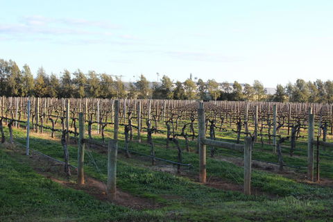 Milawa Vineyard Views - Guesthouse 2 - Bridge Guide 0