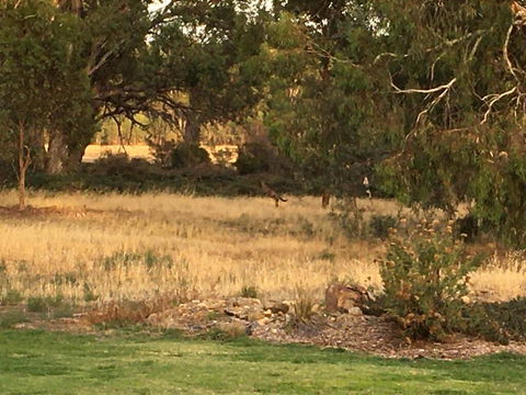 Murrord Wetlands - Click Find 3