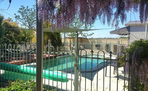 Must Love Dogs B&B & Self Contained Cottage - DBD 2
