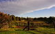 Muswellbrook Northside B&B - thumb 3