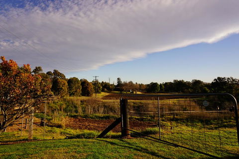 Muswellbrook Northside B&B - Click Find 3