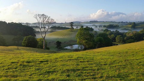 Newyan @ Maleny - Click Find 3